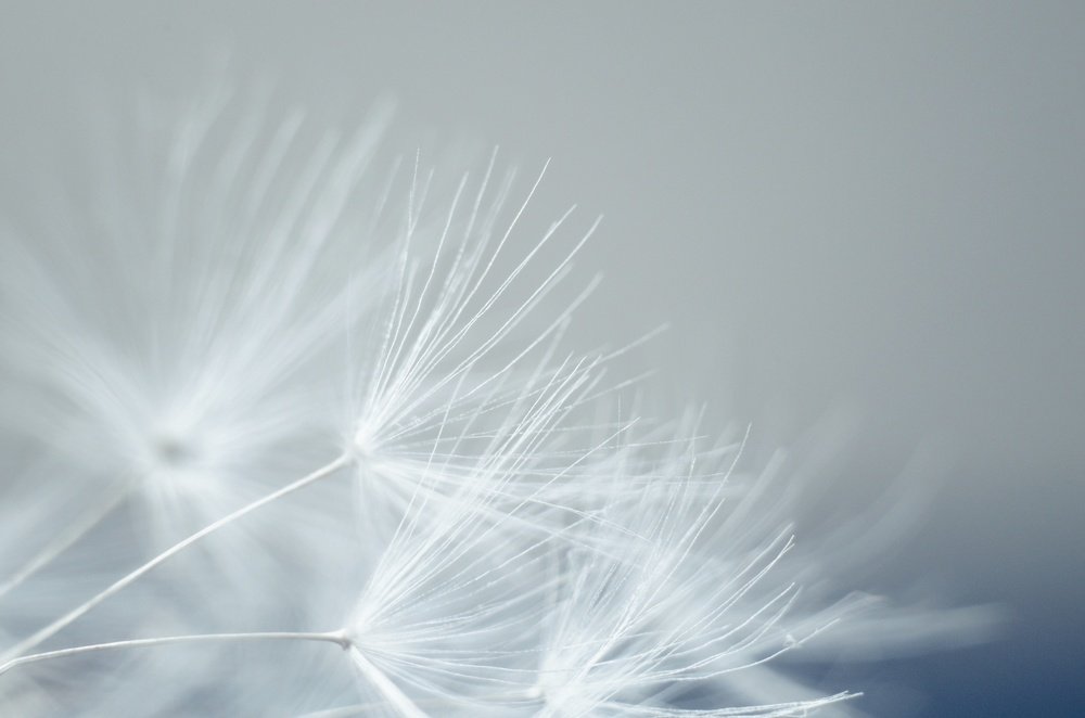 Photograph by Ольга Распопова