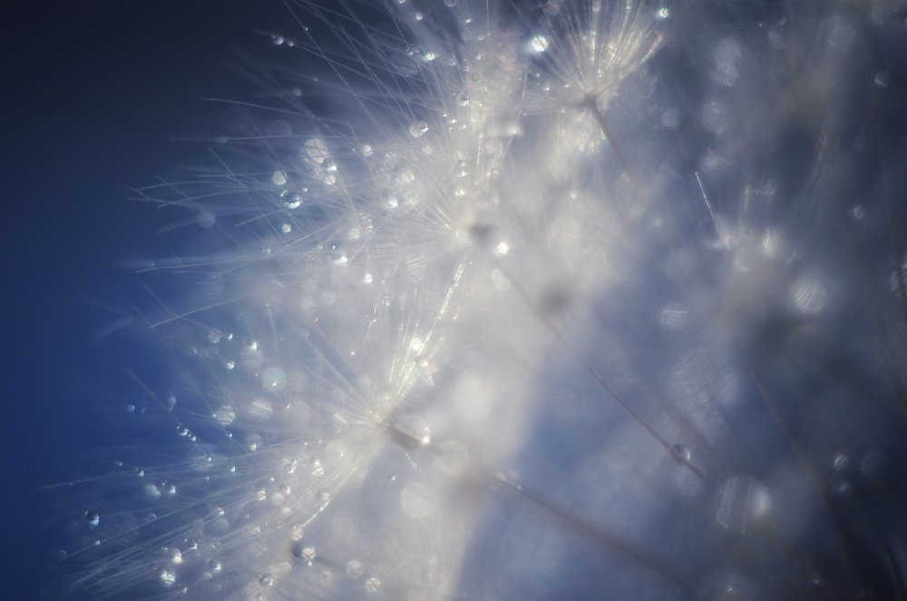 Photograph by Ольга Распопова