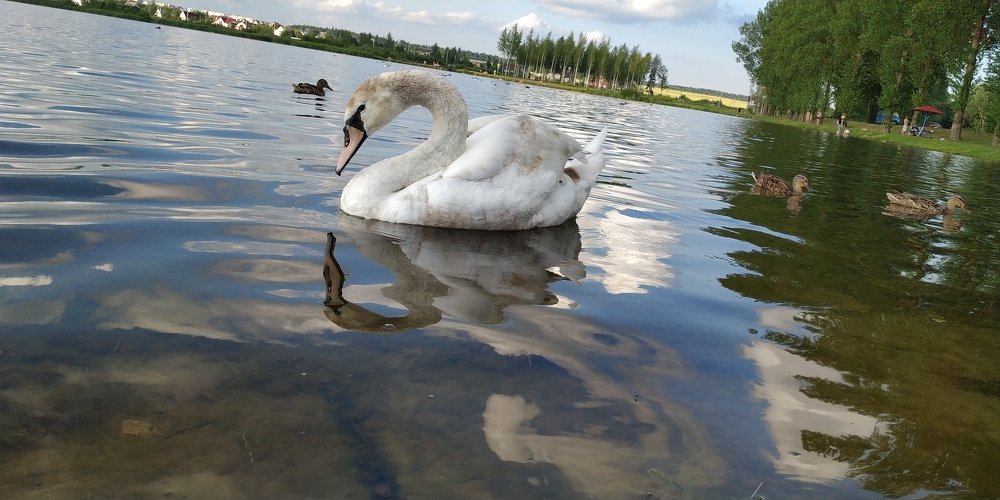 Фотография автора Ян Пчельников