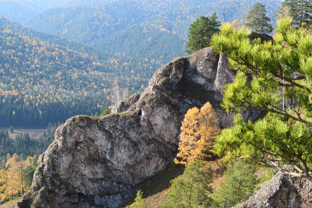 Photograph by Светлана Дмитриева