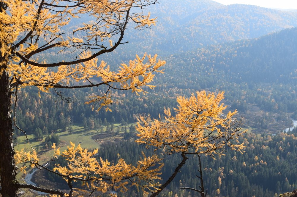 Напоминание об осени.