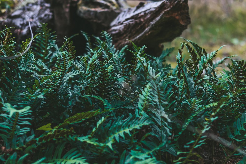 Photograph by Alena Shalai