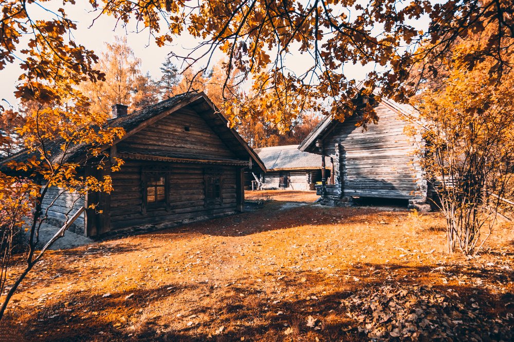 Autumn paradise among the city.