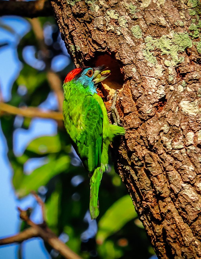 Photograph by Shuvodeep Ghosh