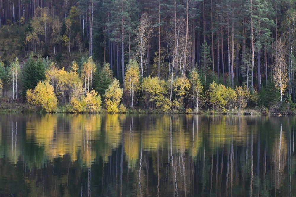 Photograph by Светлана Дмитриева