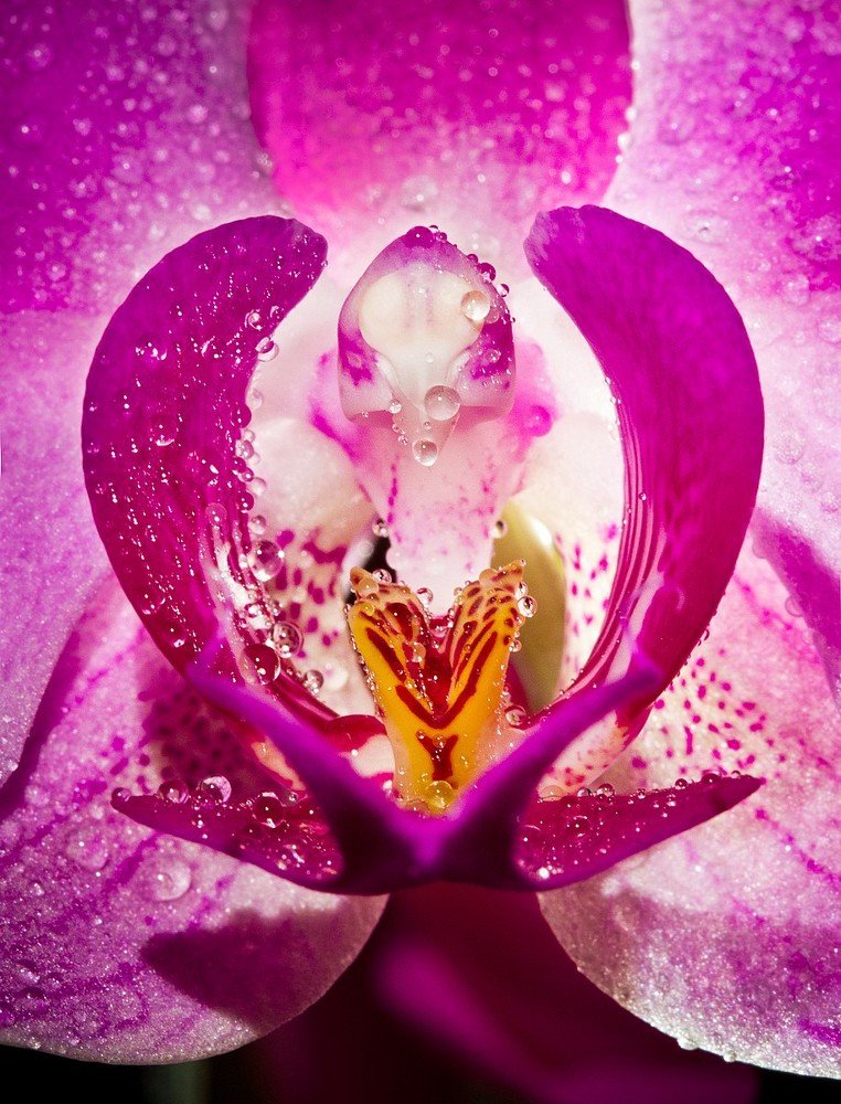 Photograph by Aleksei Kazakov