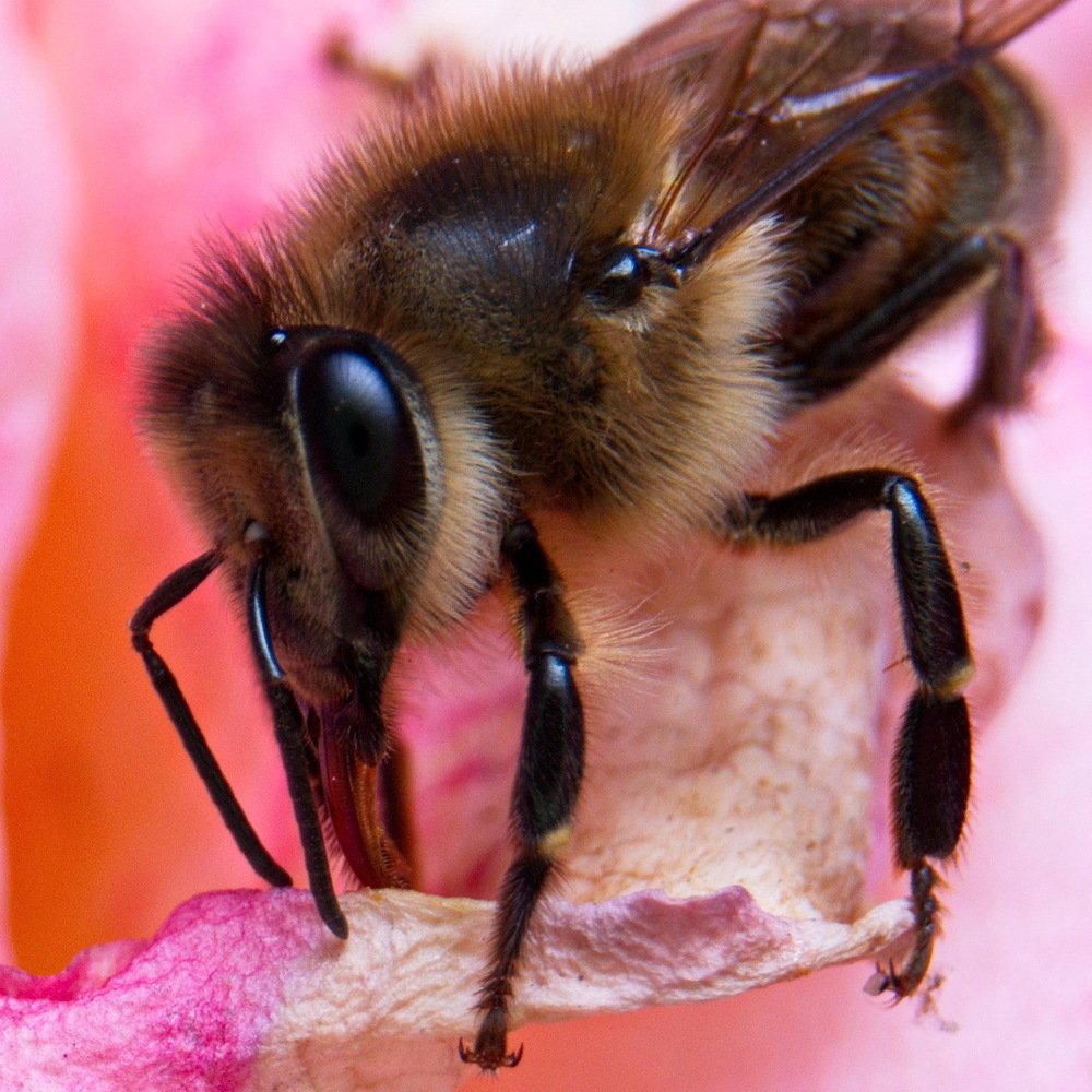 Photograph by Карякин Александр