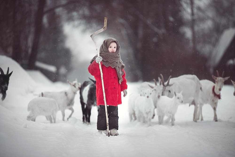 Фотография автора Александр Калинин