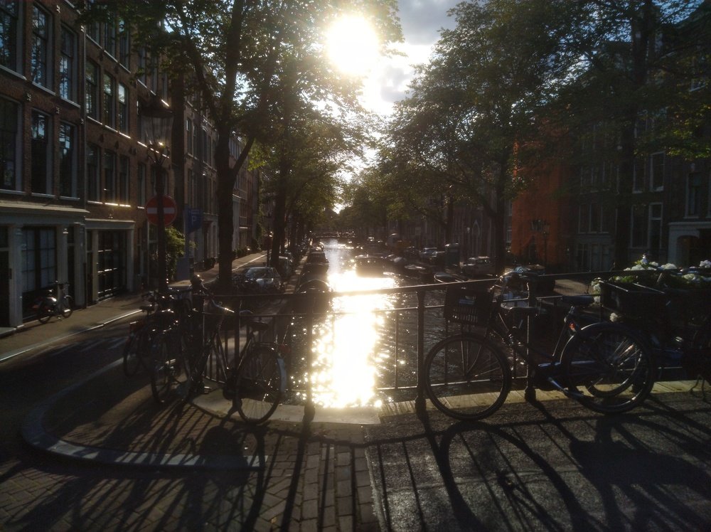 Photo #3716675