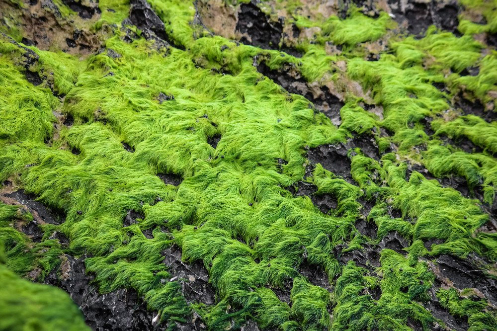 Фотография автора Олеся Набиева