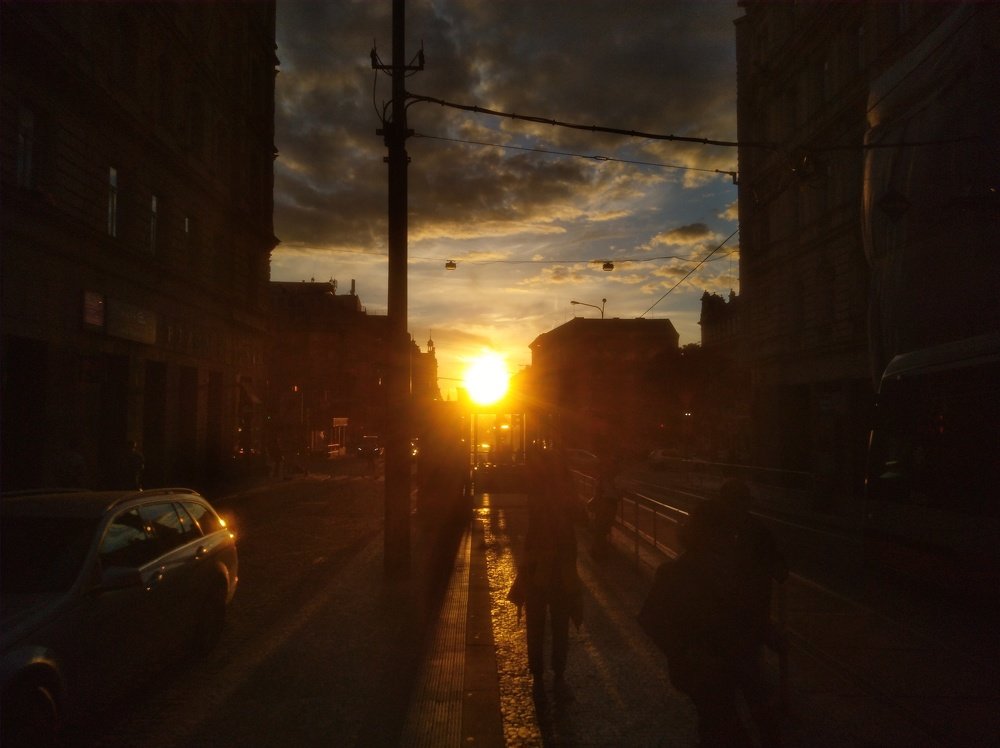 Photo #3716707