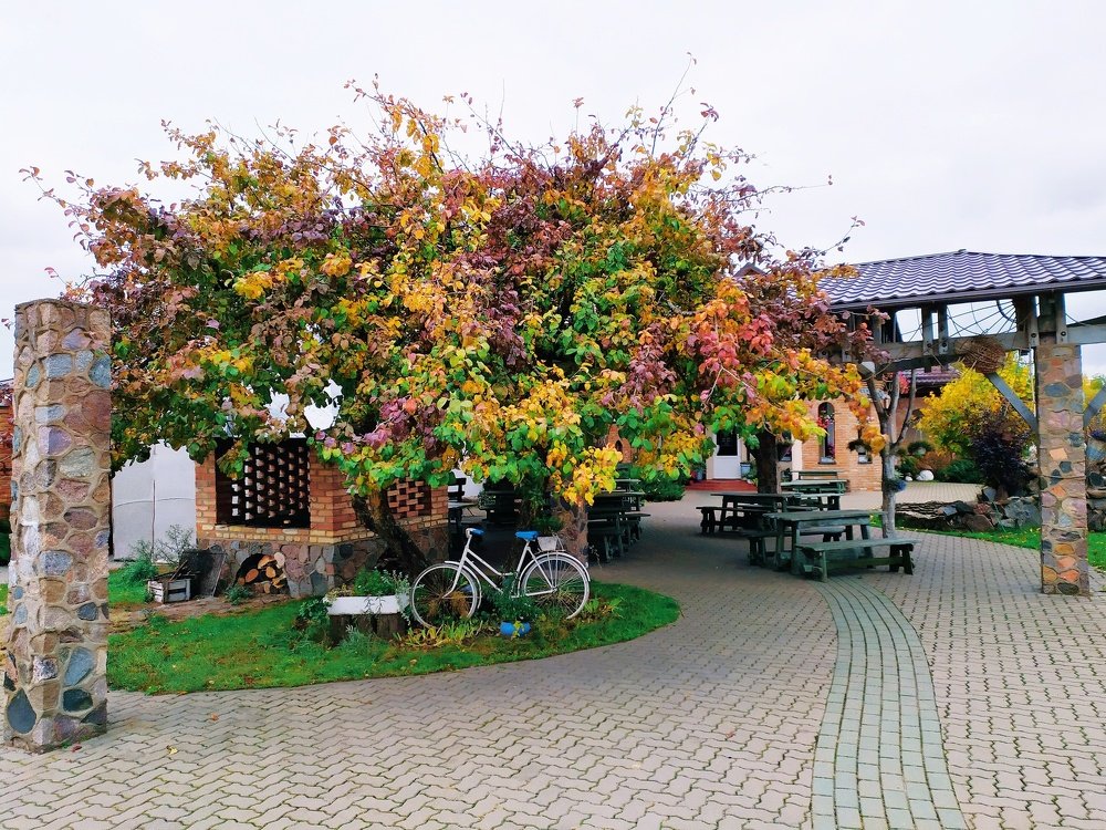 Photograph by Александра Баранова