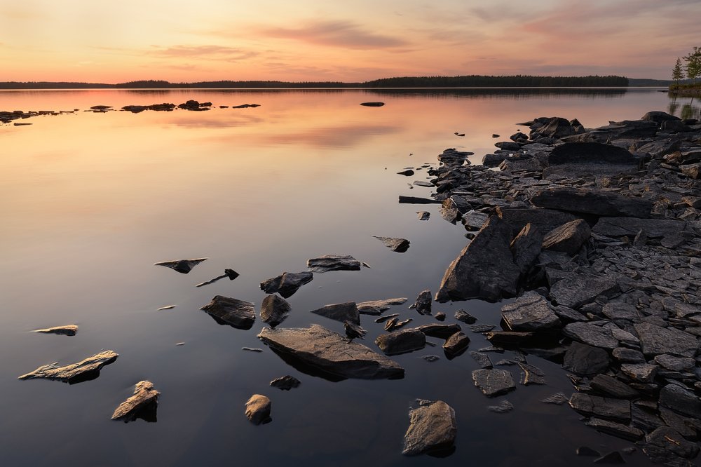 Photograph by Елена Лебедева