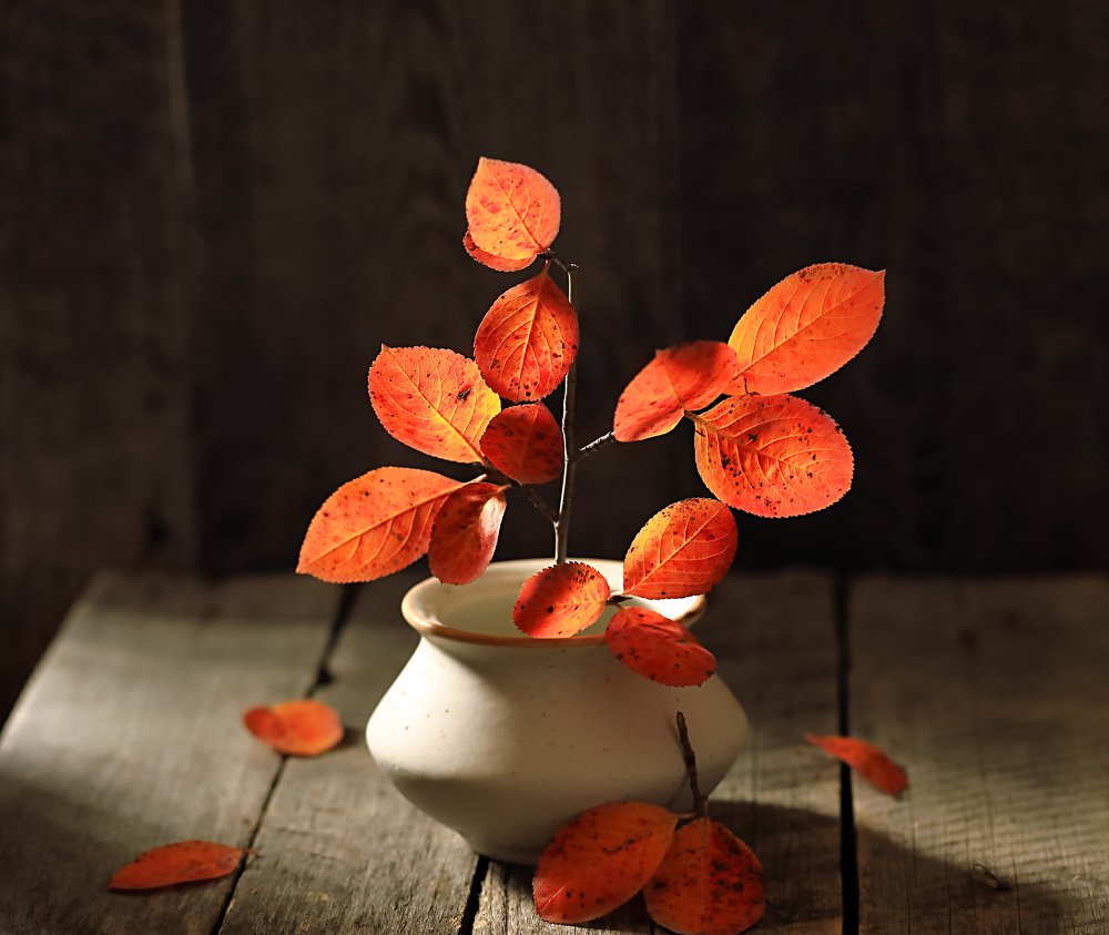 Photograph by Наталья Бочкарева