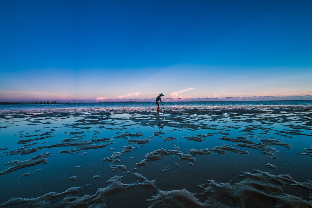 Photograph by Lê Nguyễn Vũ