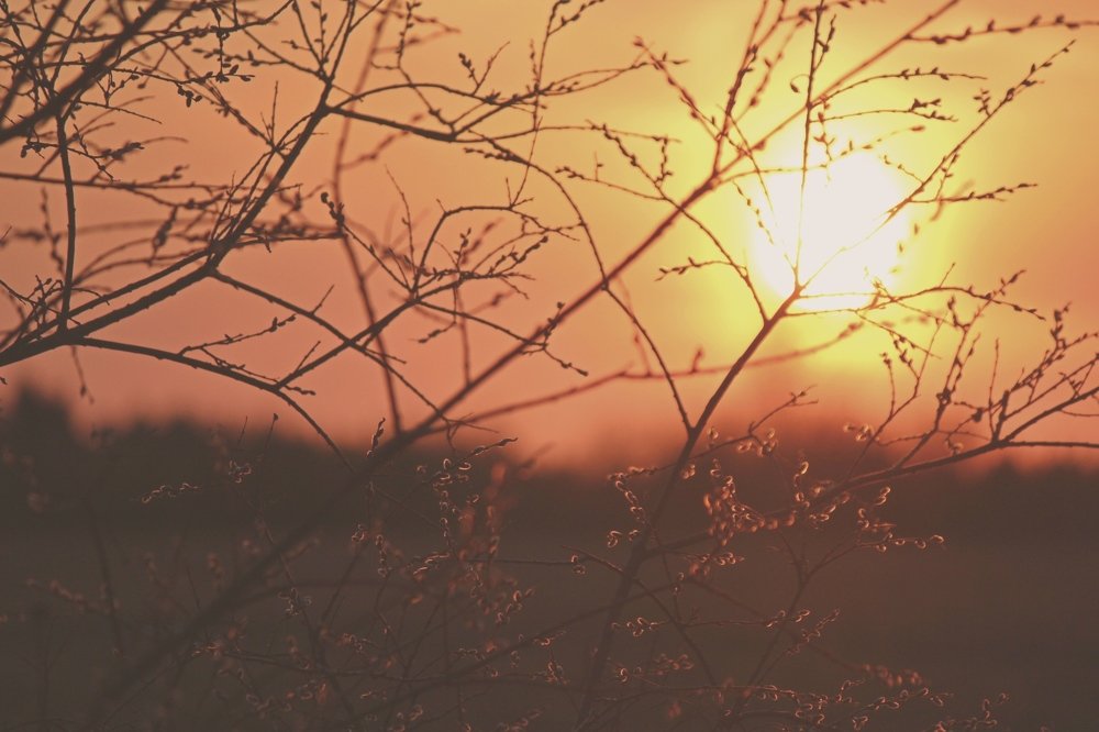 Photograph by Евгения Белоцветова