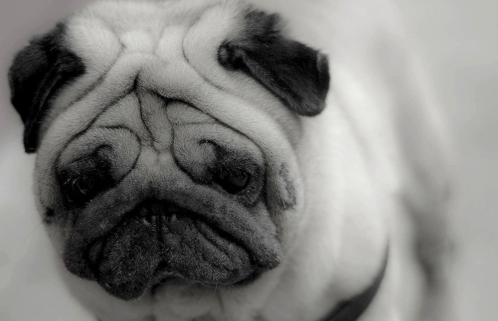 Photograph by Norman Celis