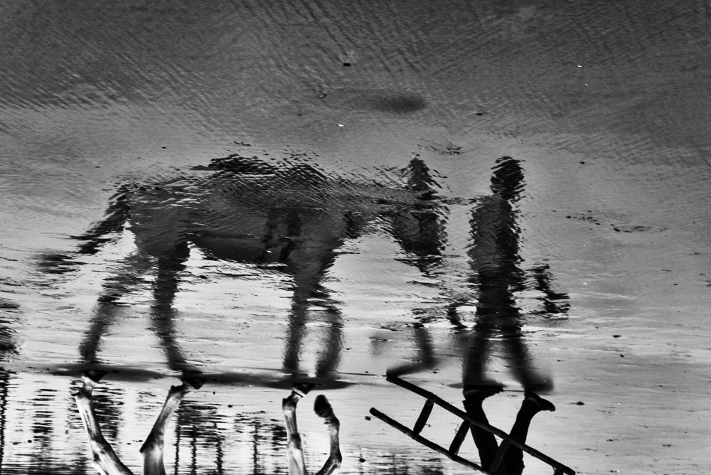 Photograph by DEBANJAN JANA