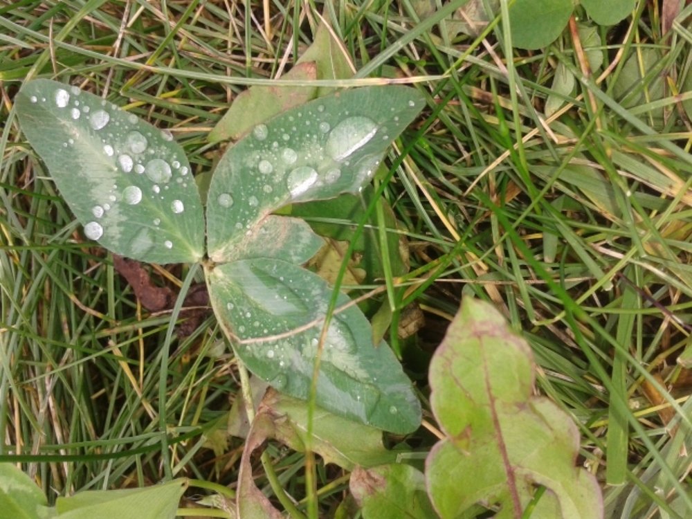 Photograph by псотик владимир