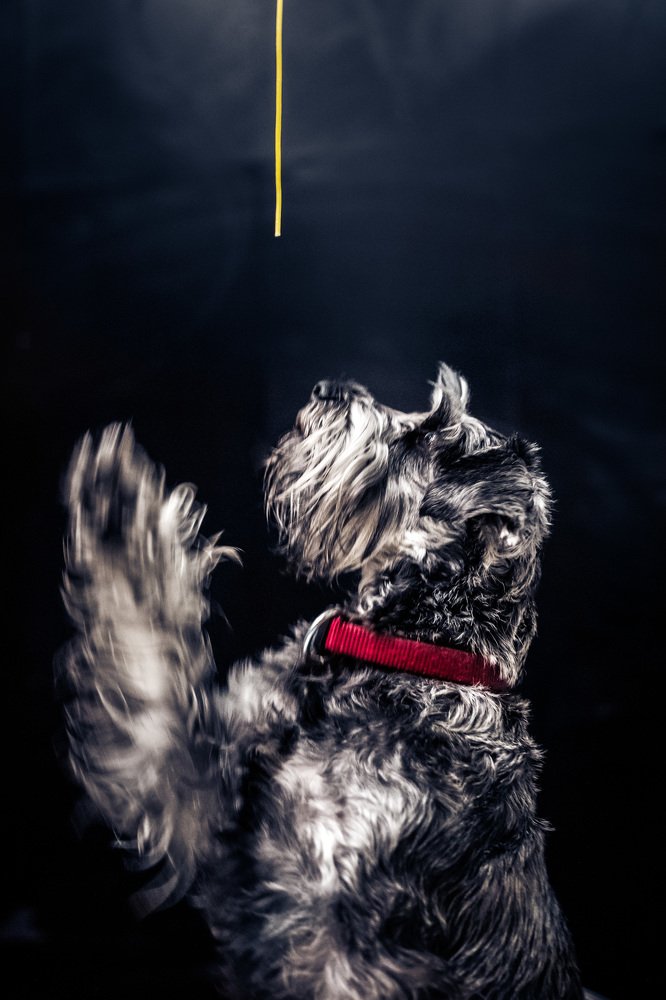 Photograph by Алла Вовк