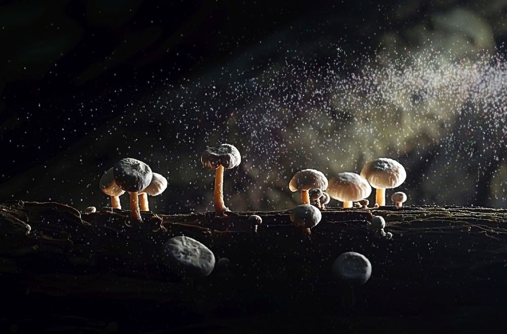 Таинственность...