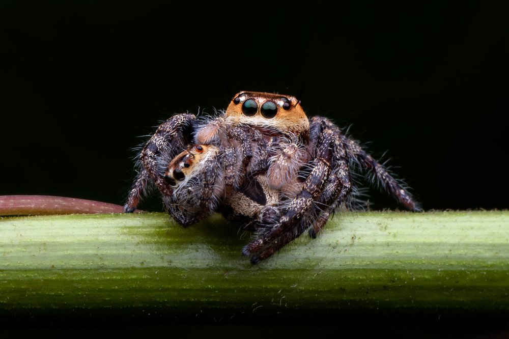 Photograph by Joydeep Mazumder