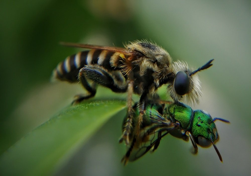 Photograph by DHIRAJ GOSWAMI