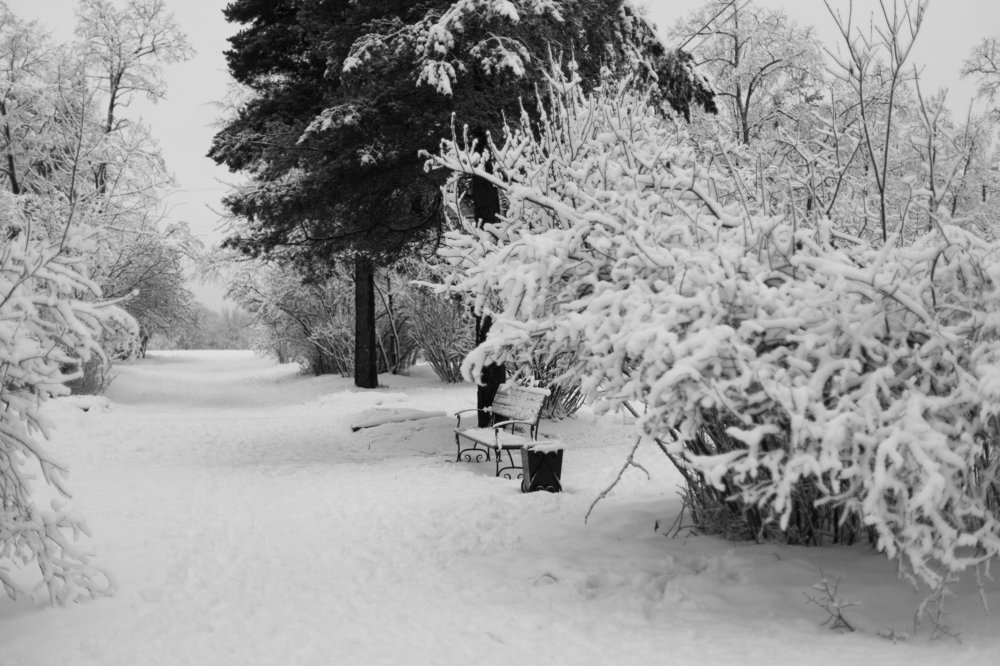 Зимняя сказка