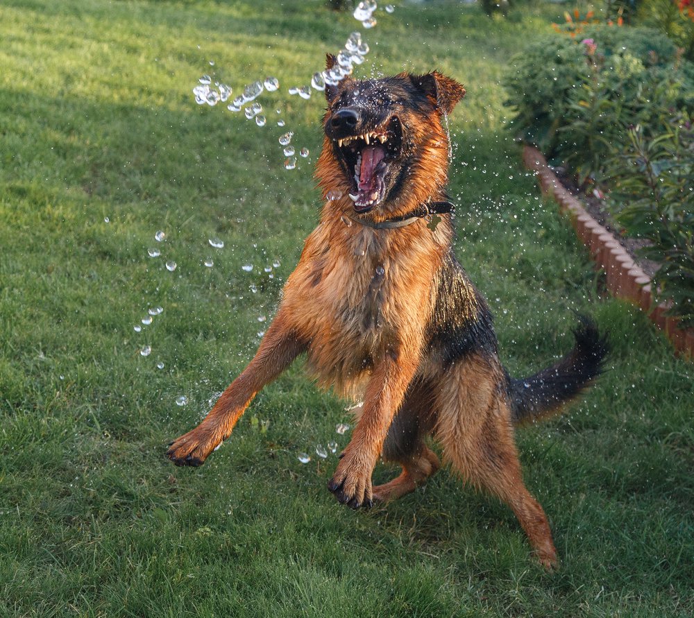 Фотография автора Оксана Ведмеденко