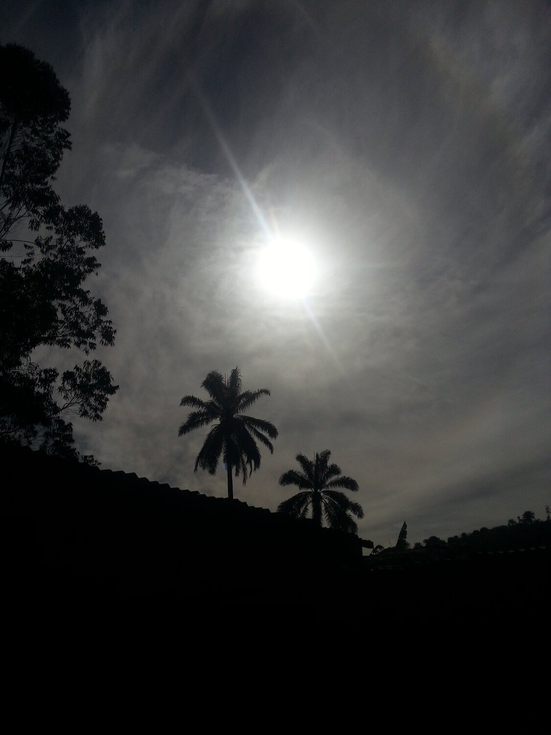 Photo #3717171