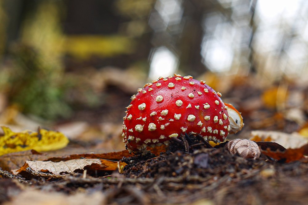 Photograph by Sergey Uskov