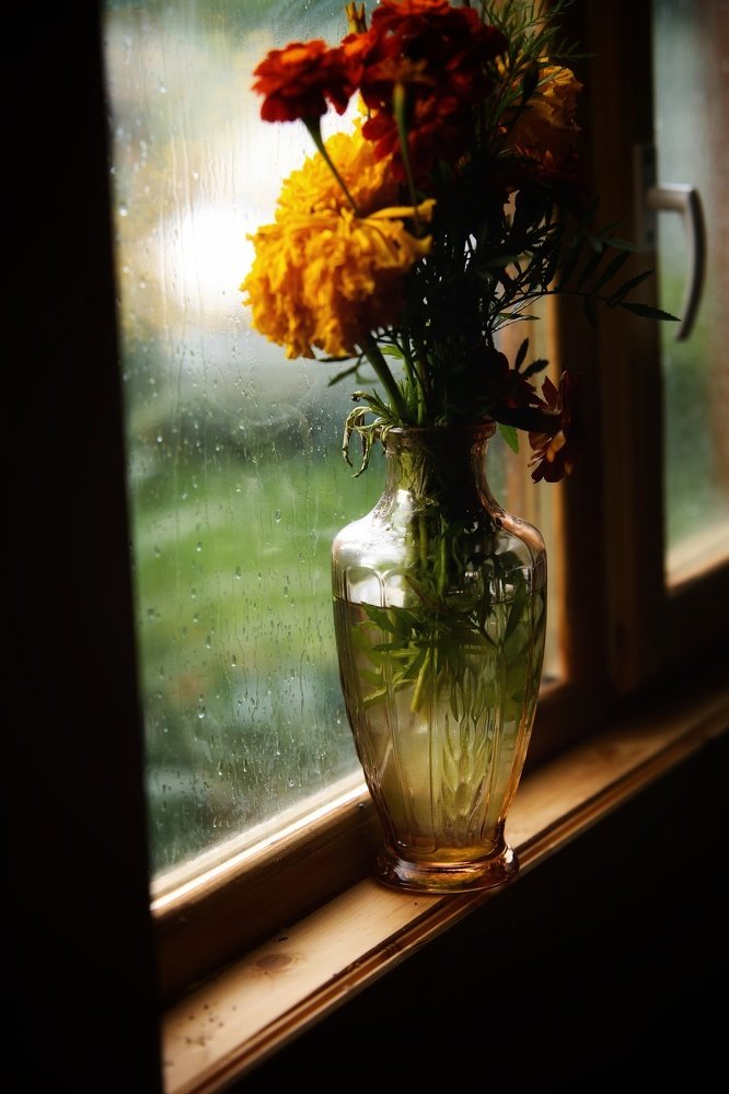 Photograph by Анжелика Сидорова