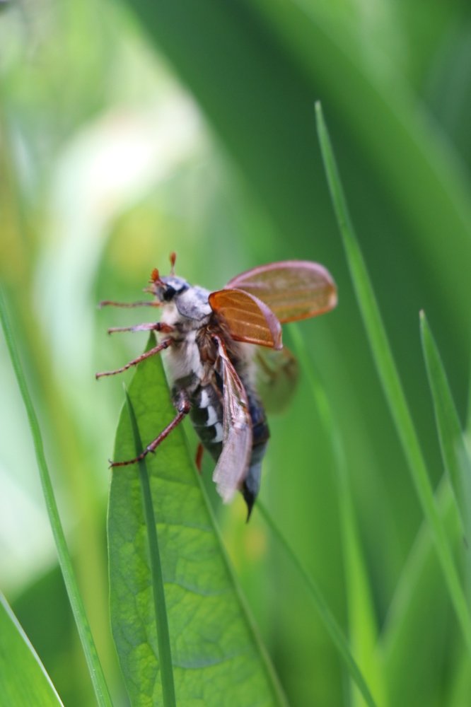 Photograph by Вероника Вербицкая