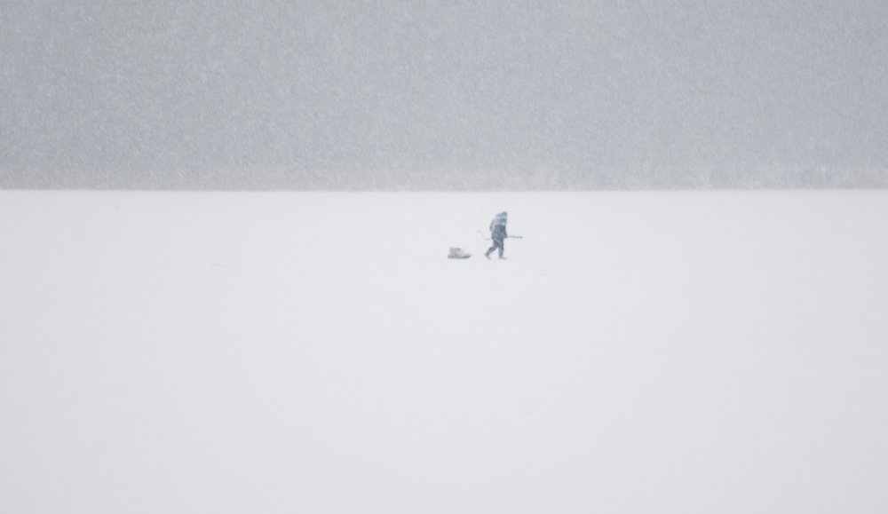 Photograph by Светлана Филипеня