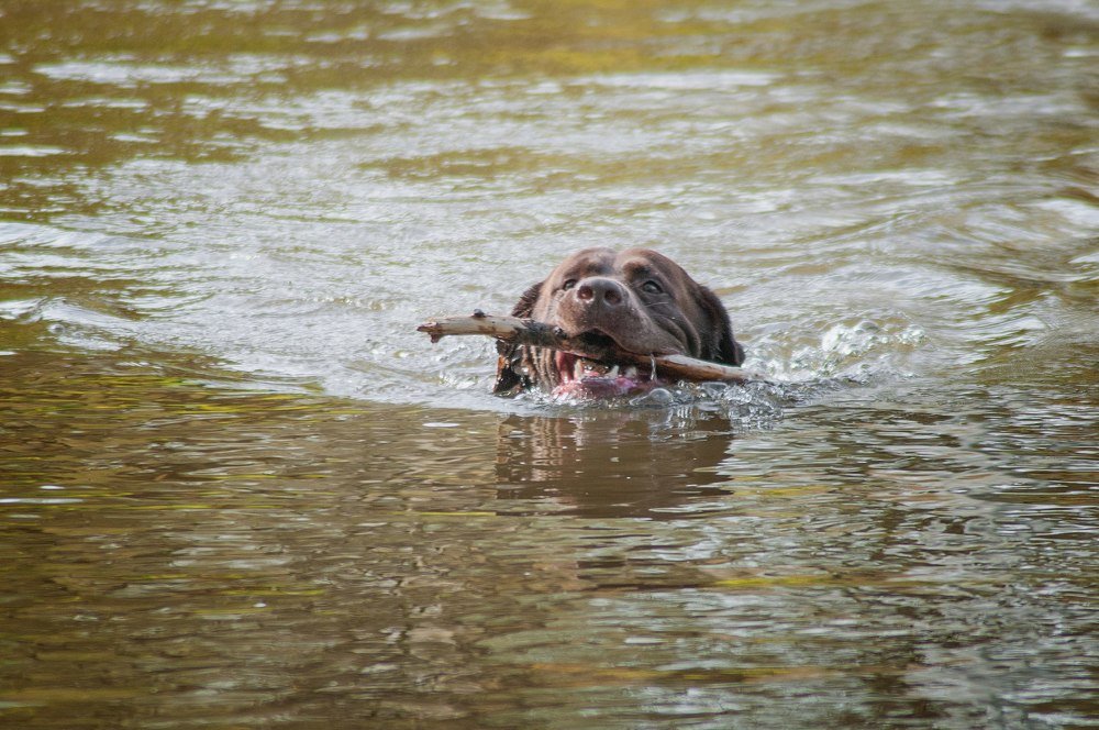 Photograph by Светлана Филипеня