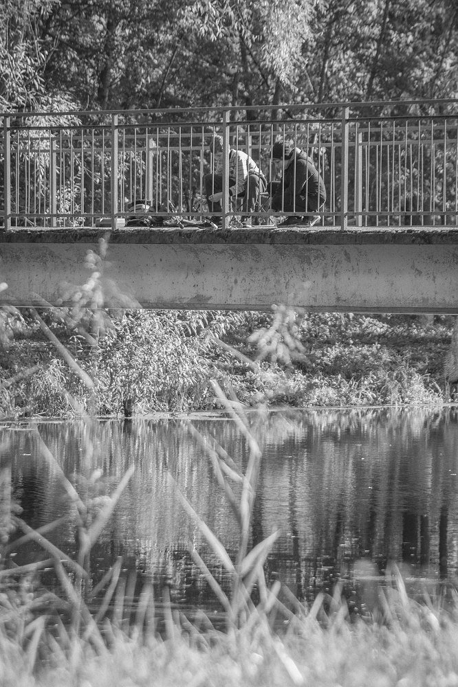 Photograph by Светлана Филипеня