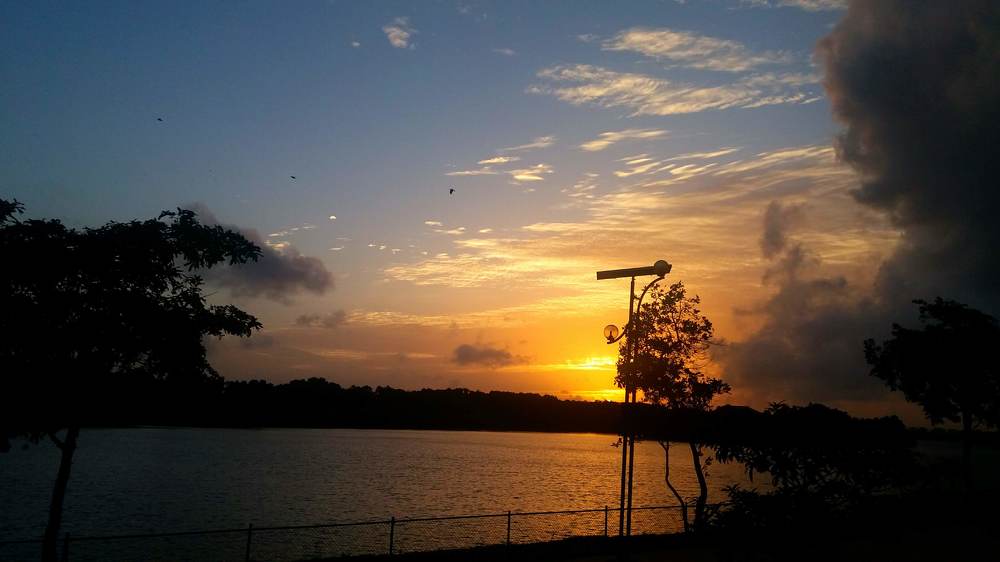 Photo #3717287
