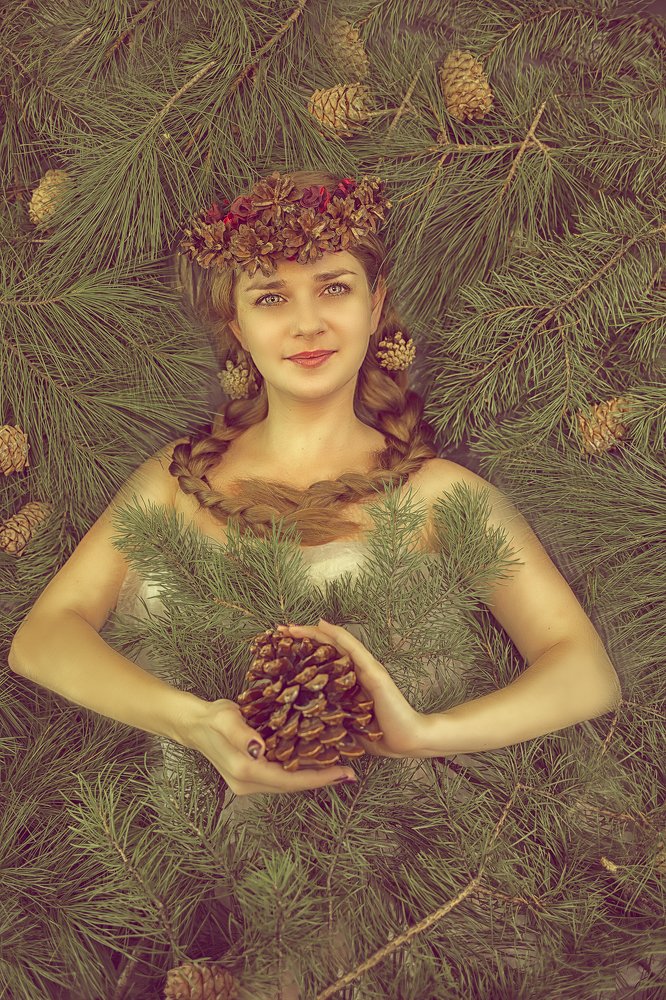 Таёжный дар