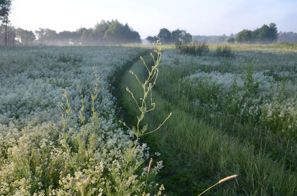 Фотография автора Владимир Брызгунов