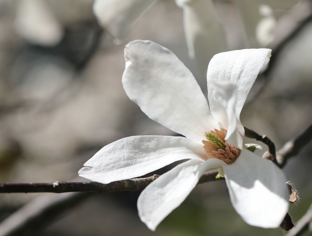 Photograph by Антонина Владимировна Завальнюк
