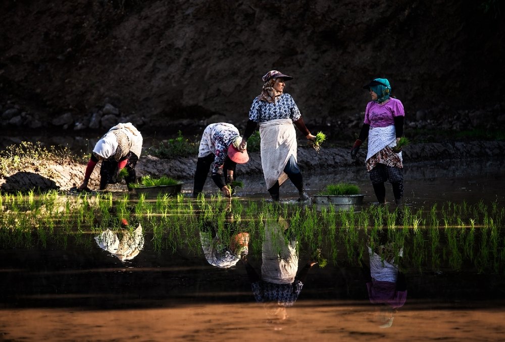 Photograph by Mehdi Khadem