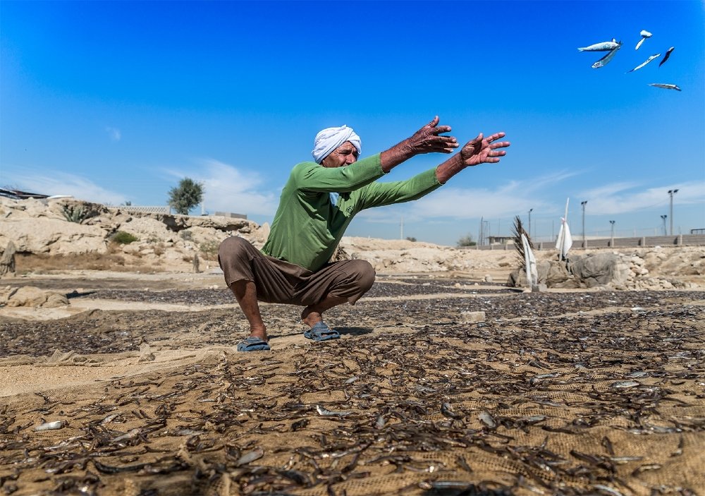 Photograph by Mehdi Khadem