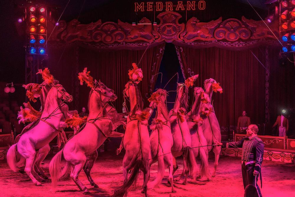 Photograph by Victor