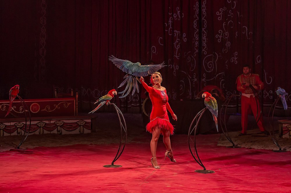 Photograph by Victor