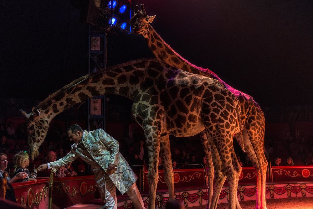 Photograph by Victor