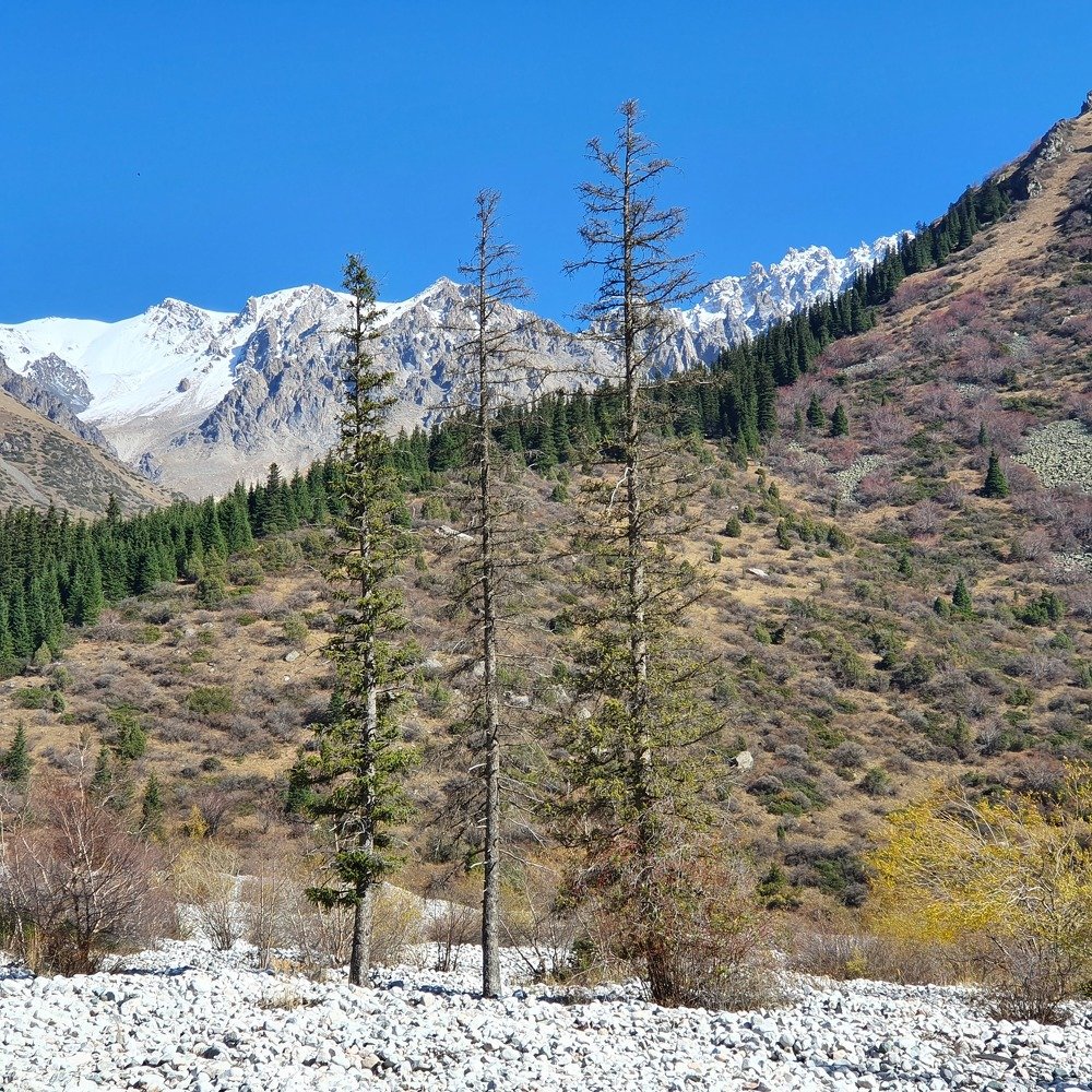 Photograph by Валентина Галич