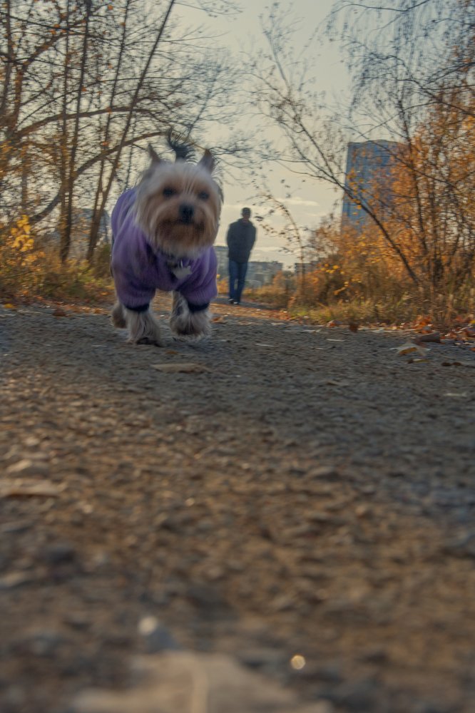 Photograph by Мария