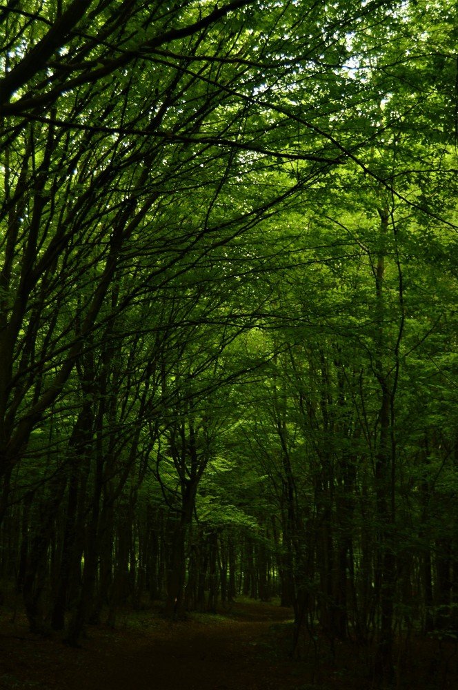 Photograph by Katarína Sabolová