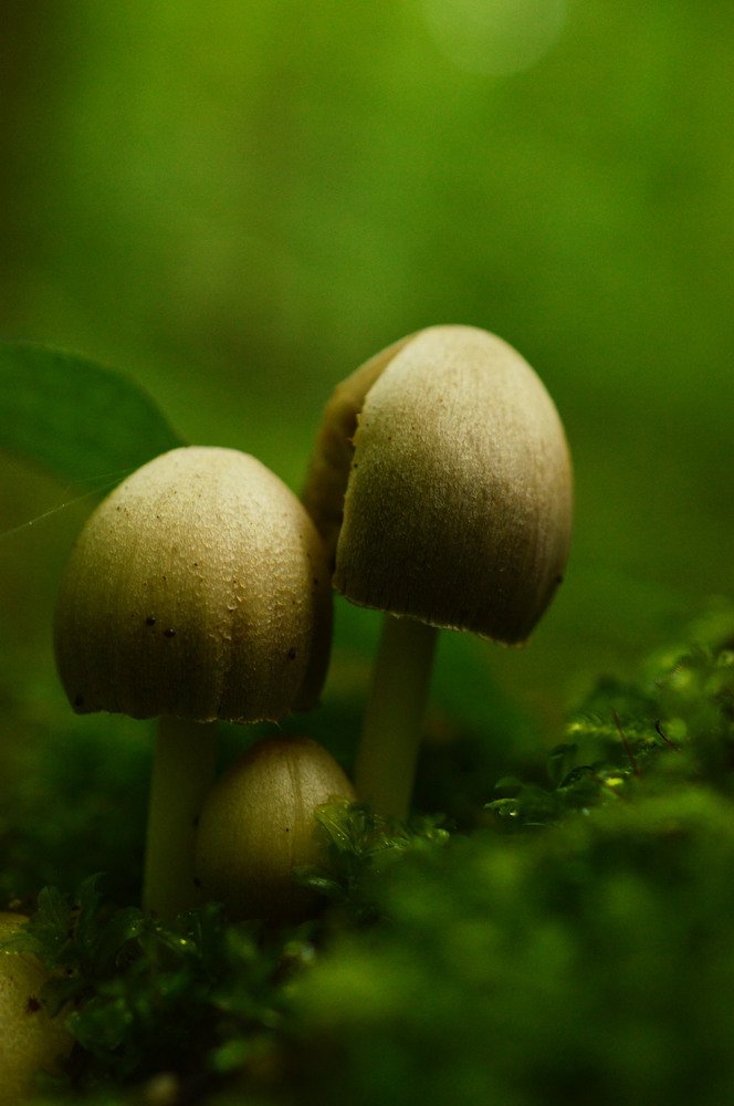 Photograph by Katarína Sabolová