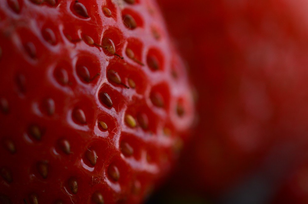 Photograph by Katarína Sabolová